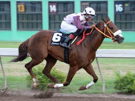 final stretch-horse racing for mac